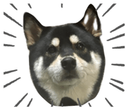 728817158