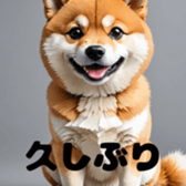 728818046