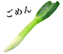728818976