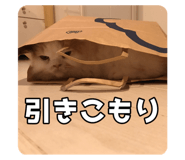 728837665
