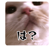 728837686