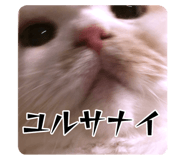 728837687