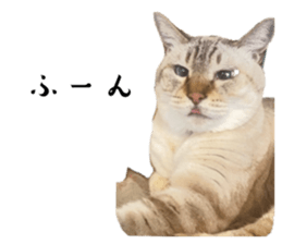 728843280
