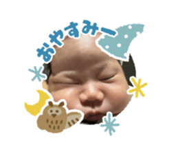 728843317