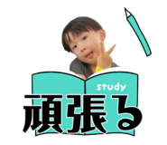728850311