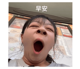 728866913