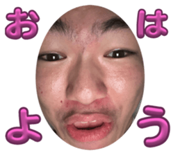 728873329