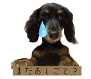 728882545