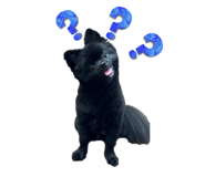 728882964