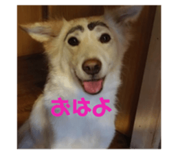 728893220