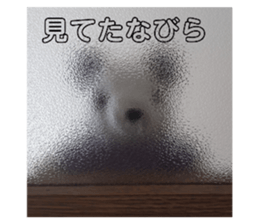 728895322