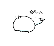 728903355