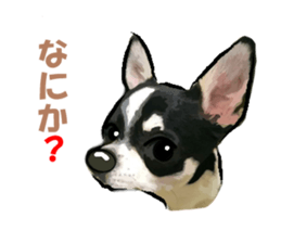 7289241