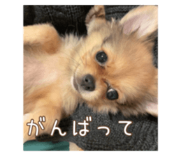 728924306