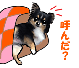 7289265