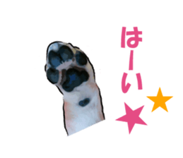 7289279
