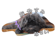 728938018