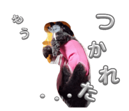 728938024