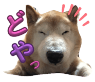 728941715