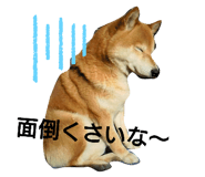 728941718