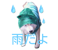 728941719