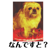 728949650