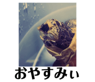 728949651