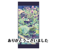 728949654