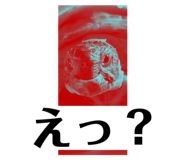 728949655