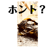 728949656