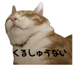 728950328