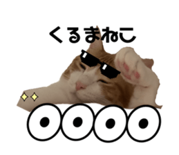 728950339