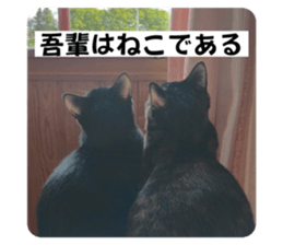 728961542