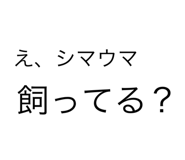 728975278