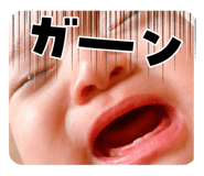 728991491