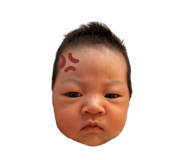 728998382