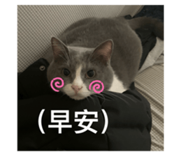 729018695