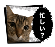 729023569