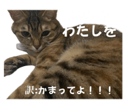 729023576