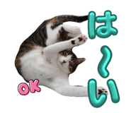 729028717