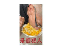 729030509