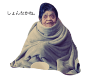 729033594