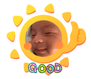 729033953