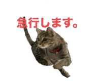 729055674