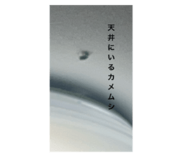 729062787