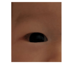 729083504
