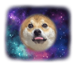 729102019
