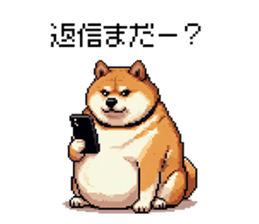 729120642