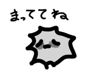 729122855