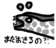 729122858